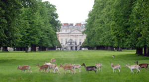 Hampton Court Home Park